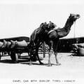 Camel Car with Dunlop Tyres - Karachi