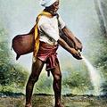 The Water Carrier (Bhistee)