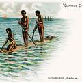 Curious Craft. Catamaran, Madras