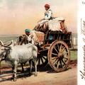 Cotton Cart