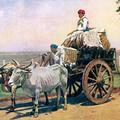 Cotton Cart