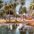 Madras Date Palms