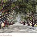 Ganeshkhind Avenue, Poona