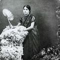 Hindu Lady, Travancore