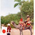 Japanese Explorer on Camel