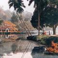 Lakeside View, Kandy, Ceylon.