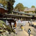 The Market, Kasauli