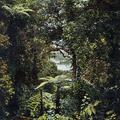 View of the See in Kodaikanal (Palani Mountains), East India