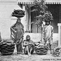 Manure Dryers, India