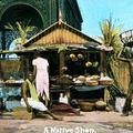 A Native Shop