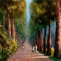 Palm Avenue, Botanical Gardens, Calcutta.