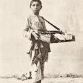 Panwala (Betel Nut Dealer)