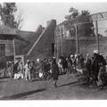 A Corner of Zoo, Peshawar, Showing Lions Cages & Enclosures
