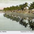 The River Cooum, Madras