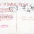 India Tea Growers Post Card [back]