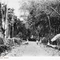 The Kullar Road