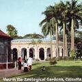 View of the Zoological Gardens, Calcutta