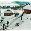 Winter in Gulmarg - Kashmir