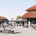 Prisoners making Cane Chairs, Yarrowda Jail